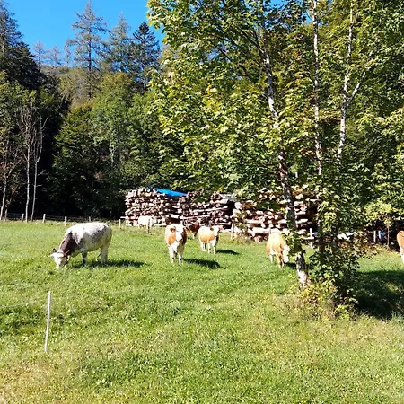 Jaegerhaus בית נופש